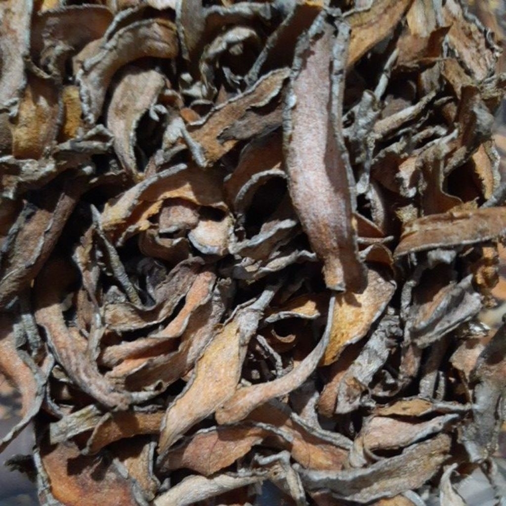 

(1 KG=30 RIBU)RAJANGAN/IRISAN KUNIR/KUNYIT