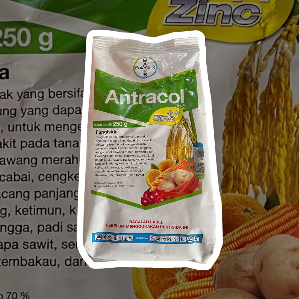 Antracol 70 WP Propineb 70% – Fungisida Sistemik Daun Bercak, Antraknosa & Jamur Tanaman