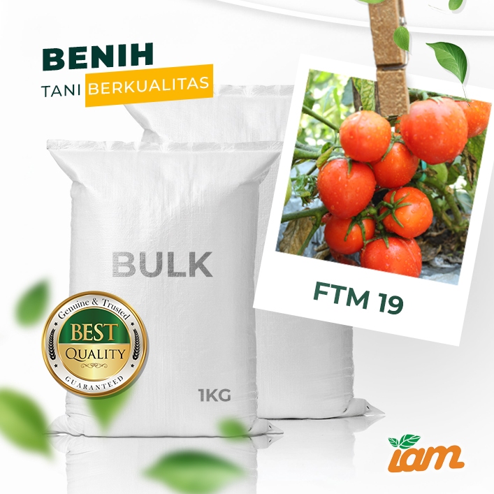 

BULK 1kg – tomat l F1 (FTM 19)