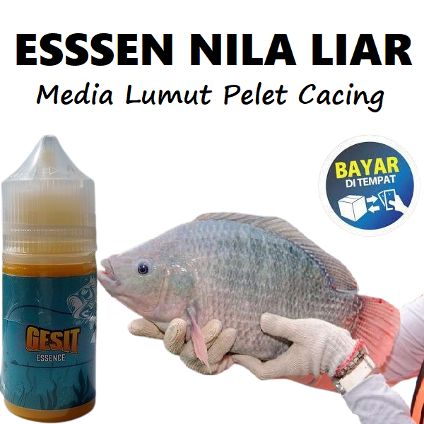 Essen Ikan Nila Liar Media Lumut Pelet Cacing Paling Ampuh - Gesit Essence 30ml