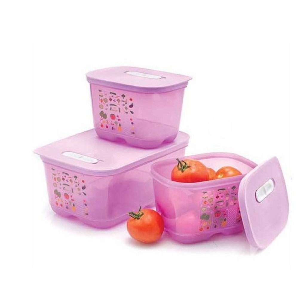 Tempat Penyimpanan / Wadah Makanan Sayur Buah di Kulkas VentSmart Set Tupperware