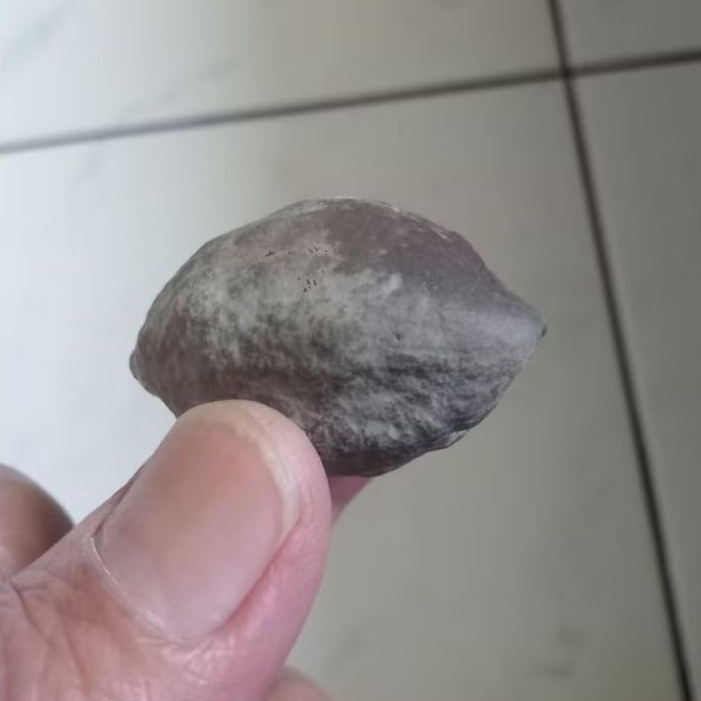 Kemiri Adu Muncang Adu Wadas Ori Full Tua