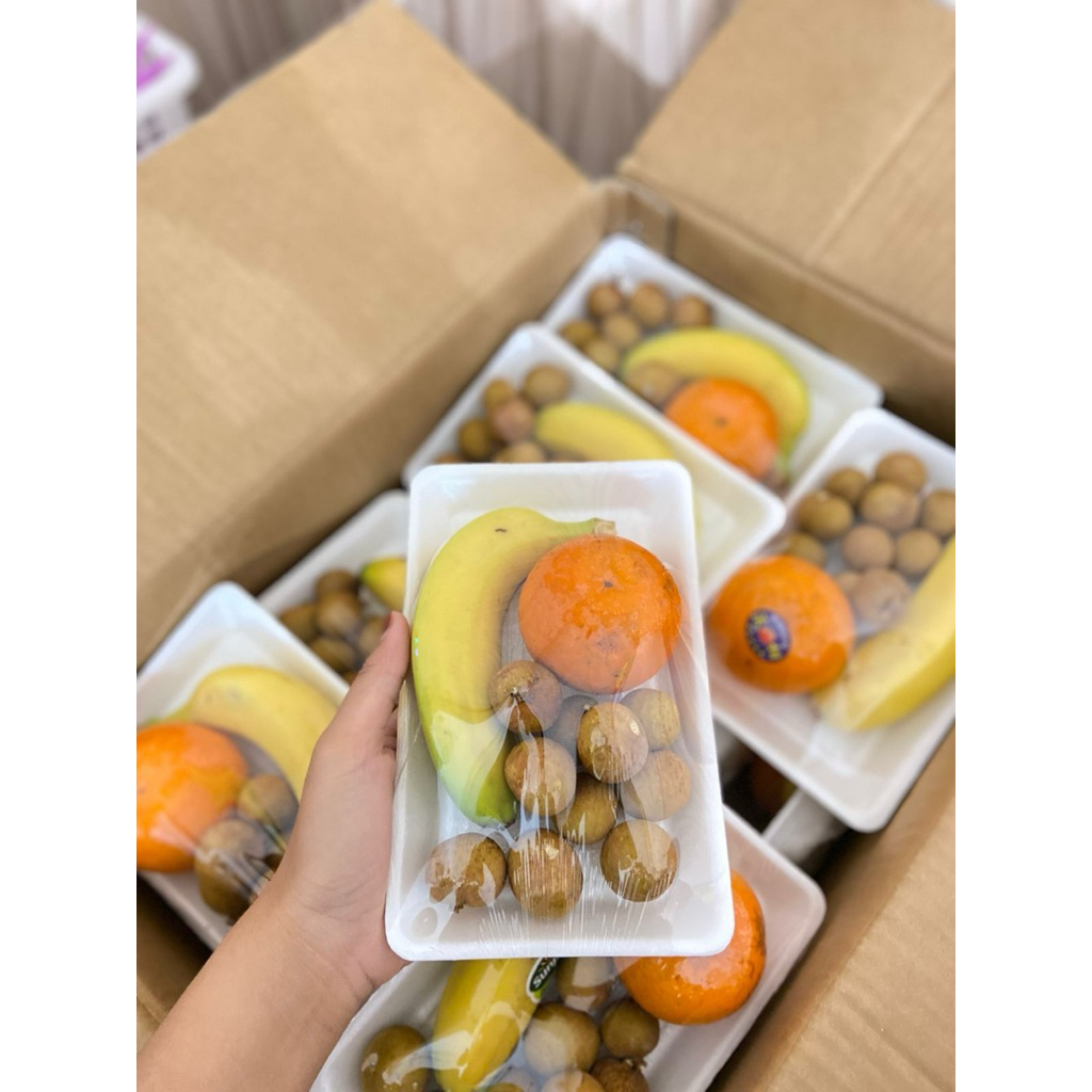 

hampers / parcel buah stayrofoam mini (1 paket)