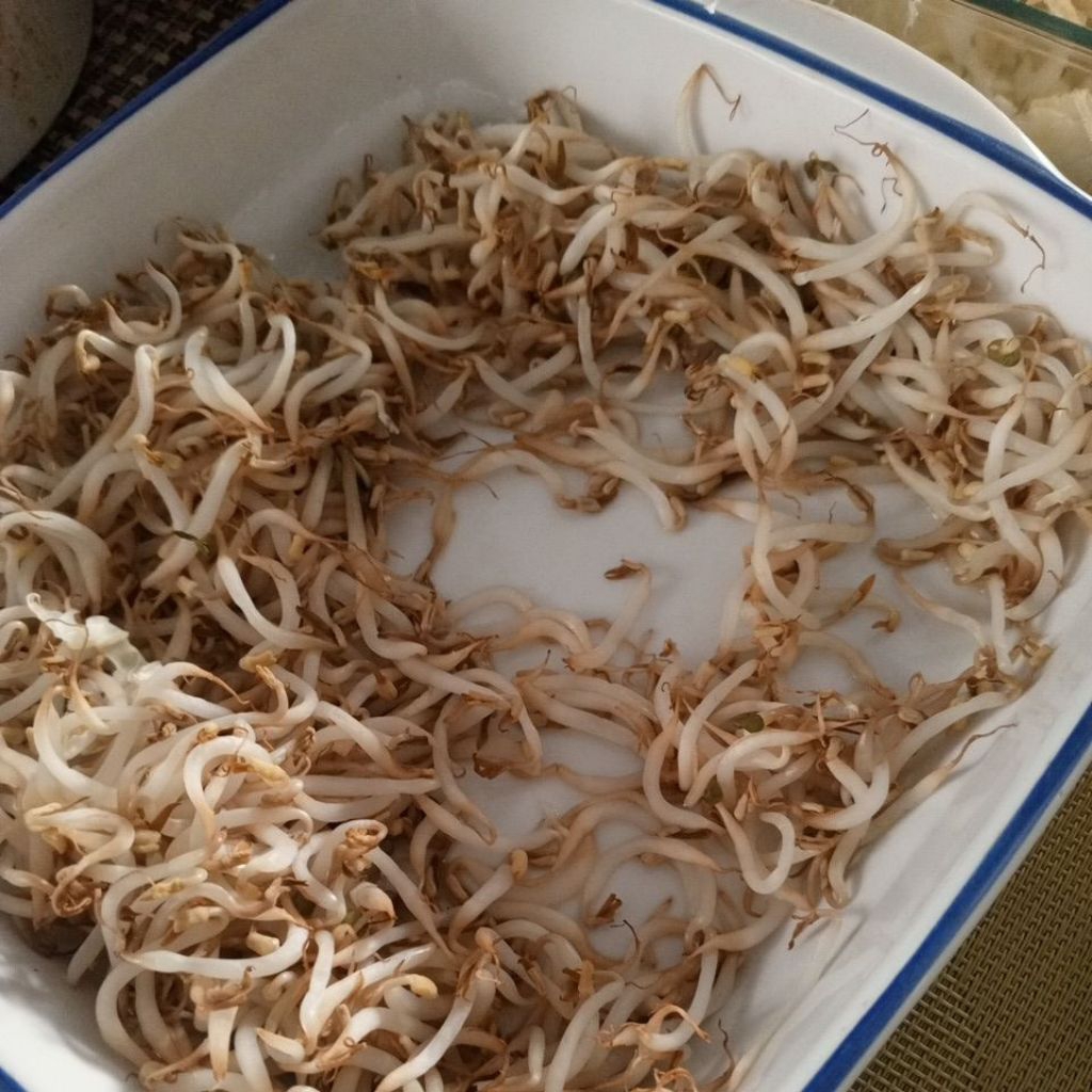 

Toge Bungkusan per pack