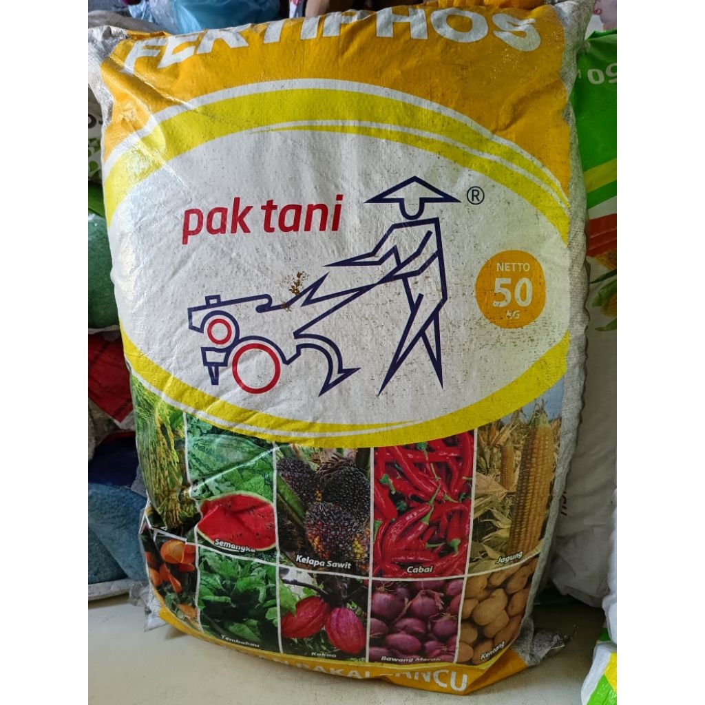 Pupuk FERTIPHOS Kemasan 50 KG Pupuk Dasar