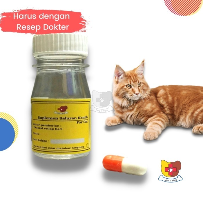 Suplemen Urinary Kucing