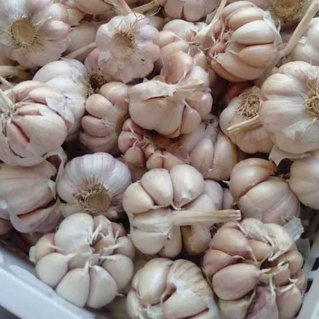 

Bawang putih 500gram