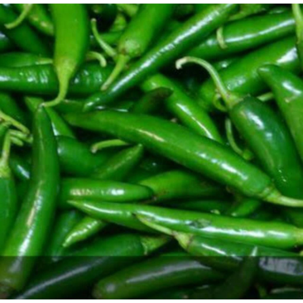 

cabe hijau besar 500gram