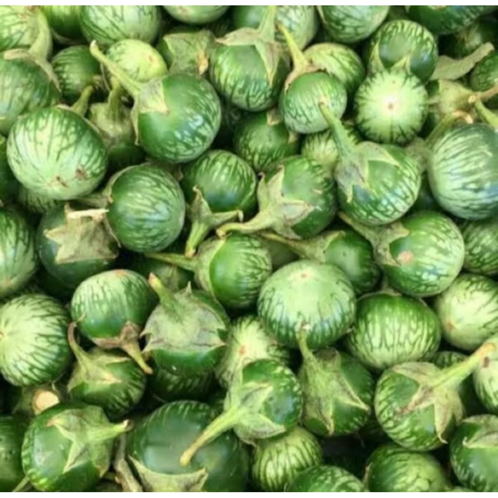 

terong bulat lalap 1 kg bppn