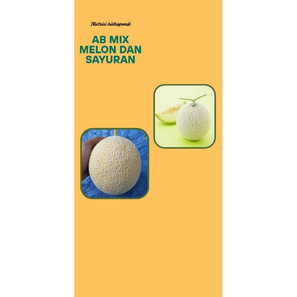 Nutrisi ab mix buah dan sayuran hidroponik