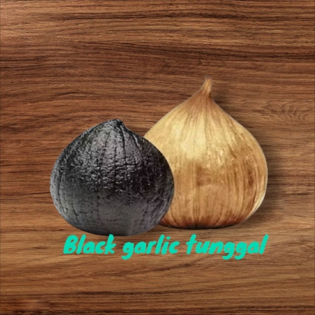 

BLACK GARLIC TUNGGAL BAWANG HITAM LANANG UK 125 GRAM HERBAL ALAMI TINGGI ANTIOKSIDAN