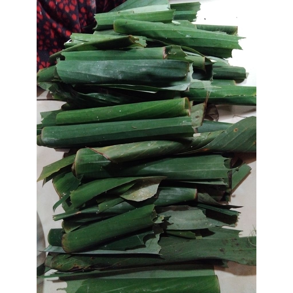 KepompongPisang/UletDaunPisang