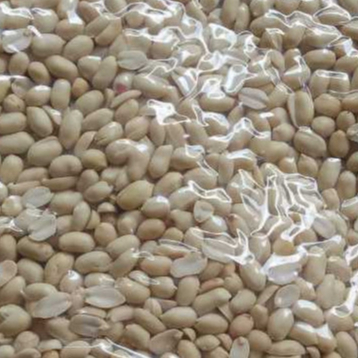 

Kacang Tanah Kupas Mentah Ukuran Besar 41/51