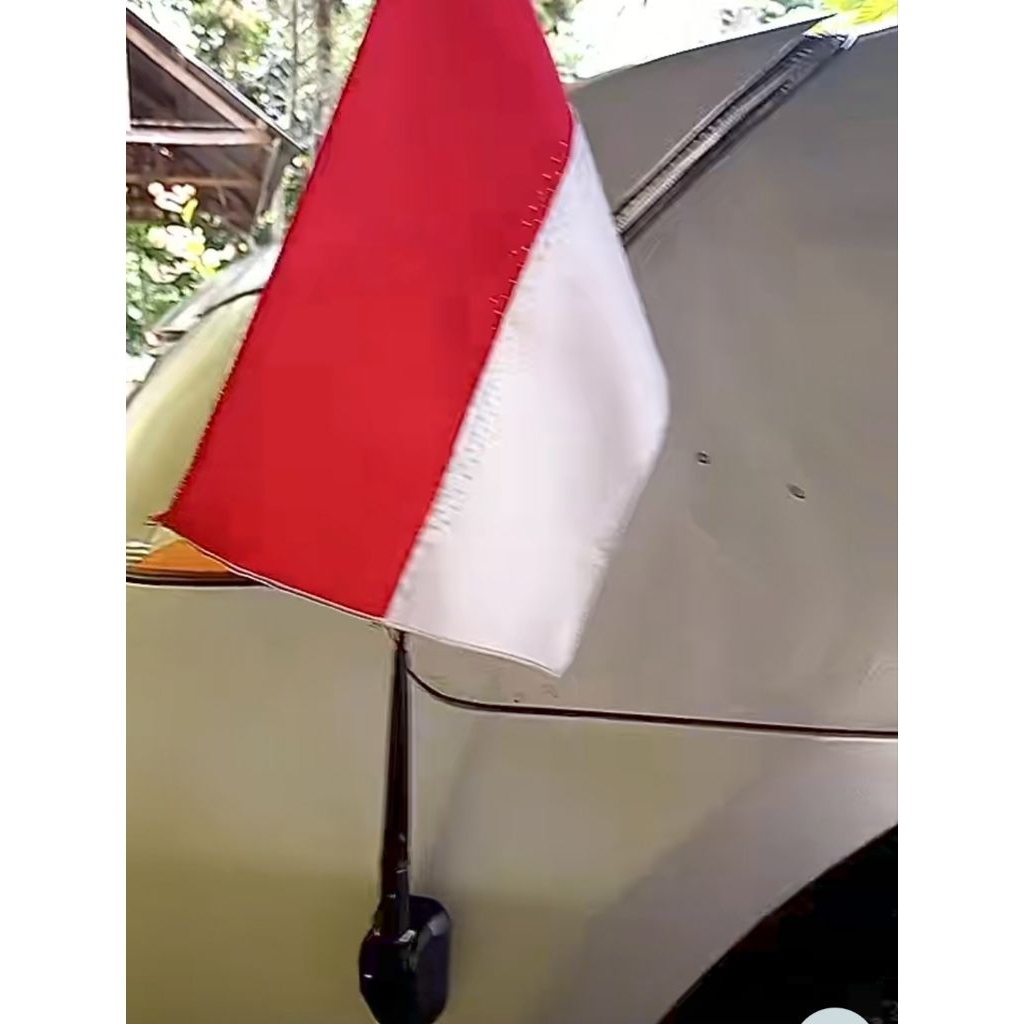 Antena Variasi Mobil / Antena Variasi Model Tempel Non Fungsi Antena Mobil