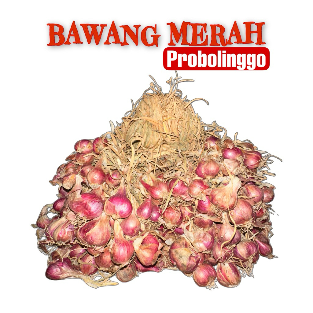 

Bawang Merah 1kg mix besar,tanggung,kecil