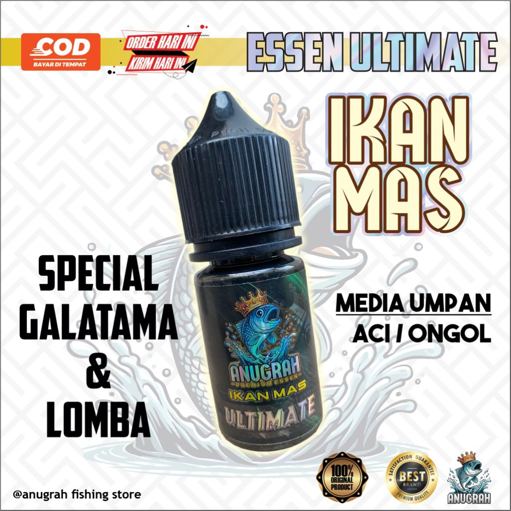 essen oplosan ikan mas, edisi spesial khusus galatama/lomba. umpan khusus aci/ongol-ongol.