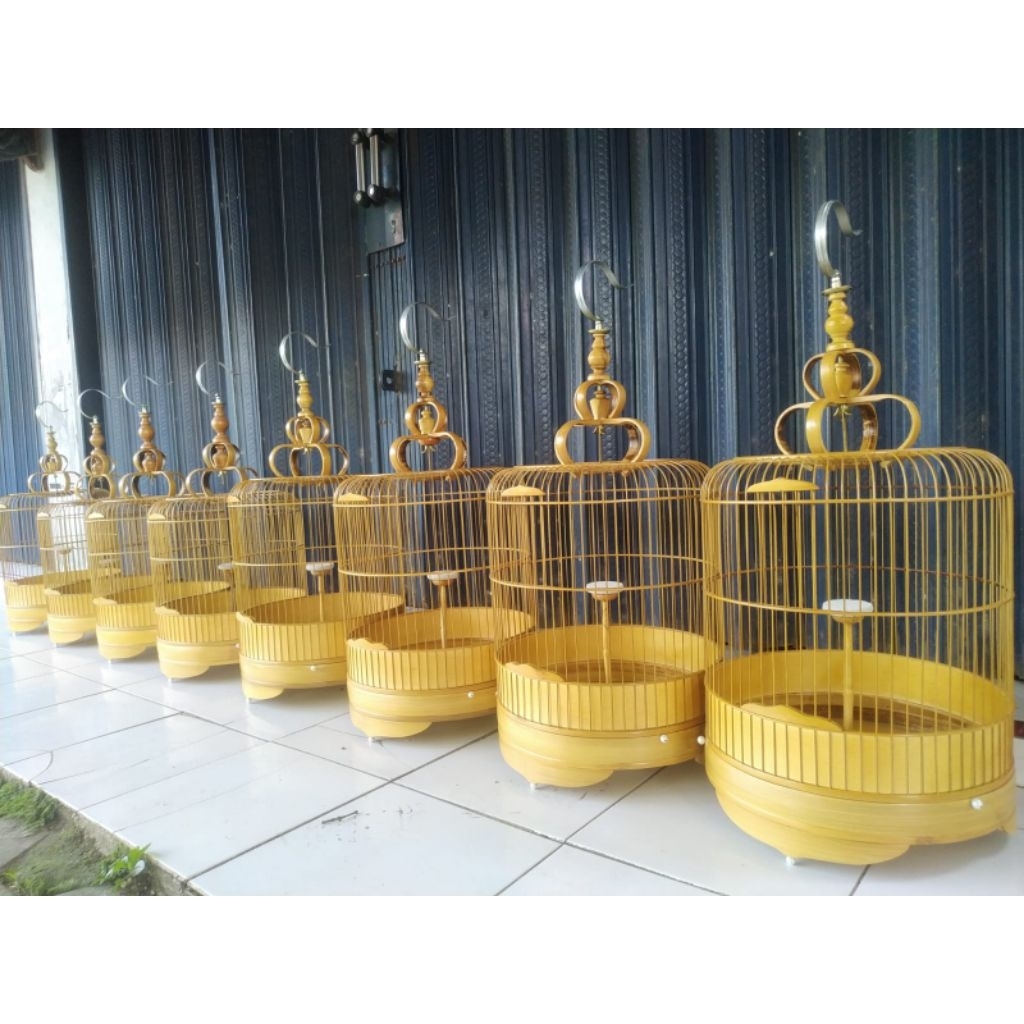 Sangkar Cungkok/Lark/Branjangan/Penjinakan