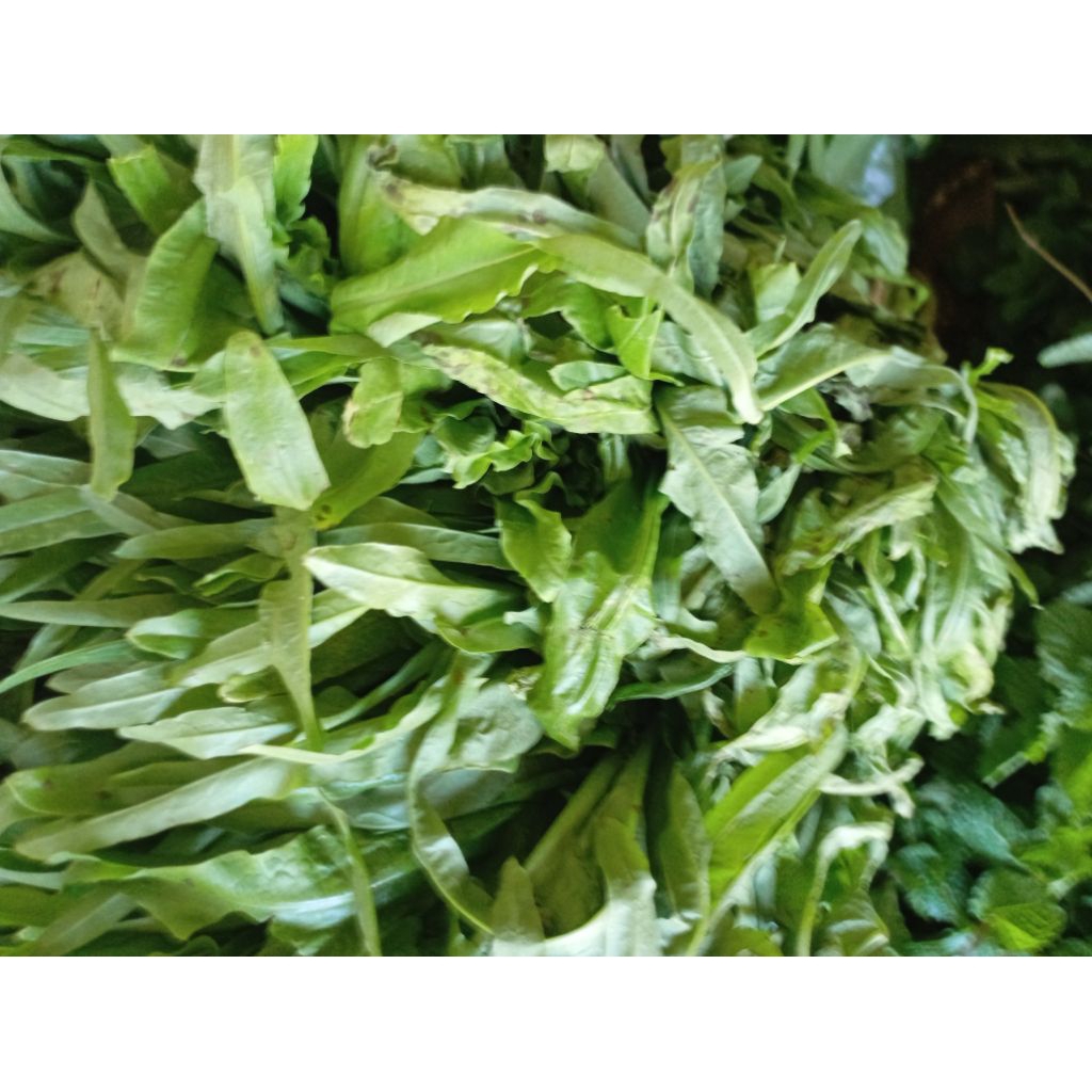 

Sayur Siomak segar per ikat