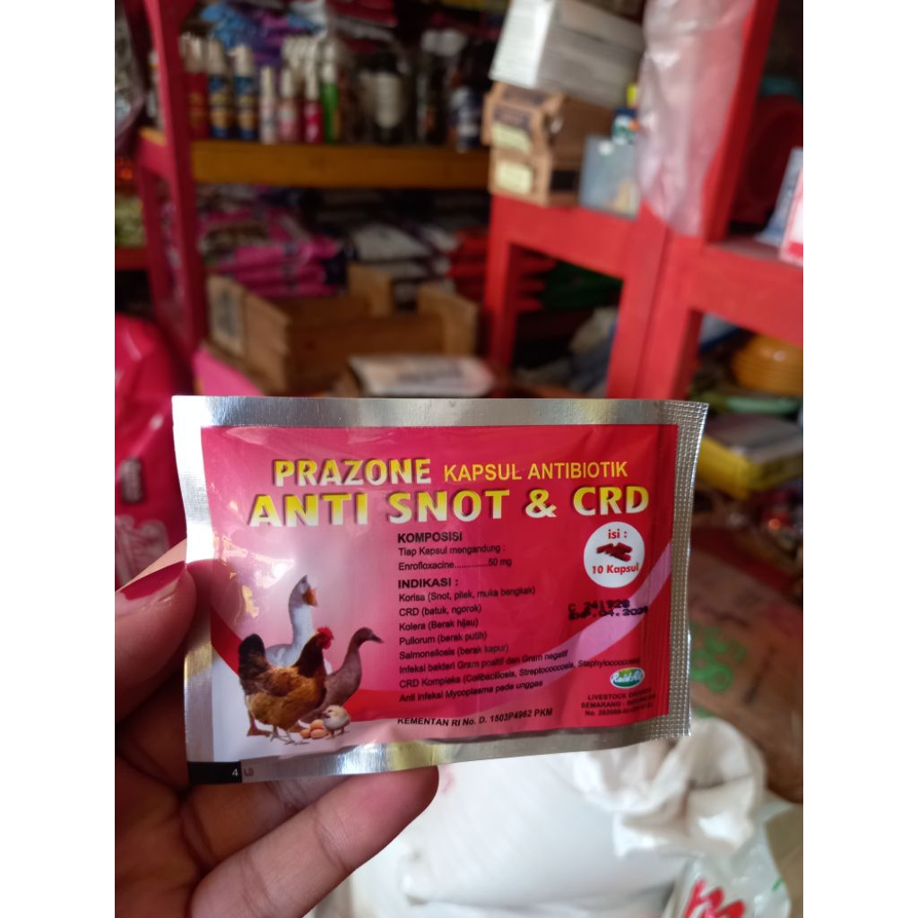 Prazone Kapsul Antibiotik Untuk Hewan Ternak