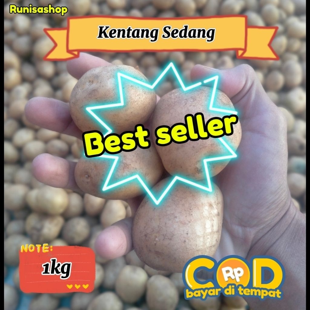 

Terlaris No.1 Kentang Sedang Super Fresh ( cod )