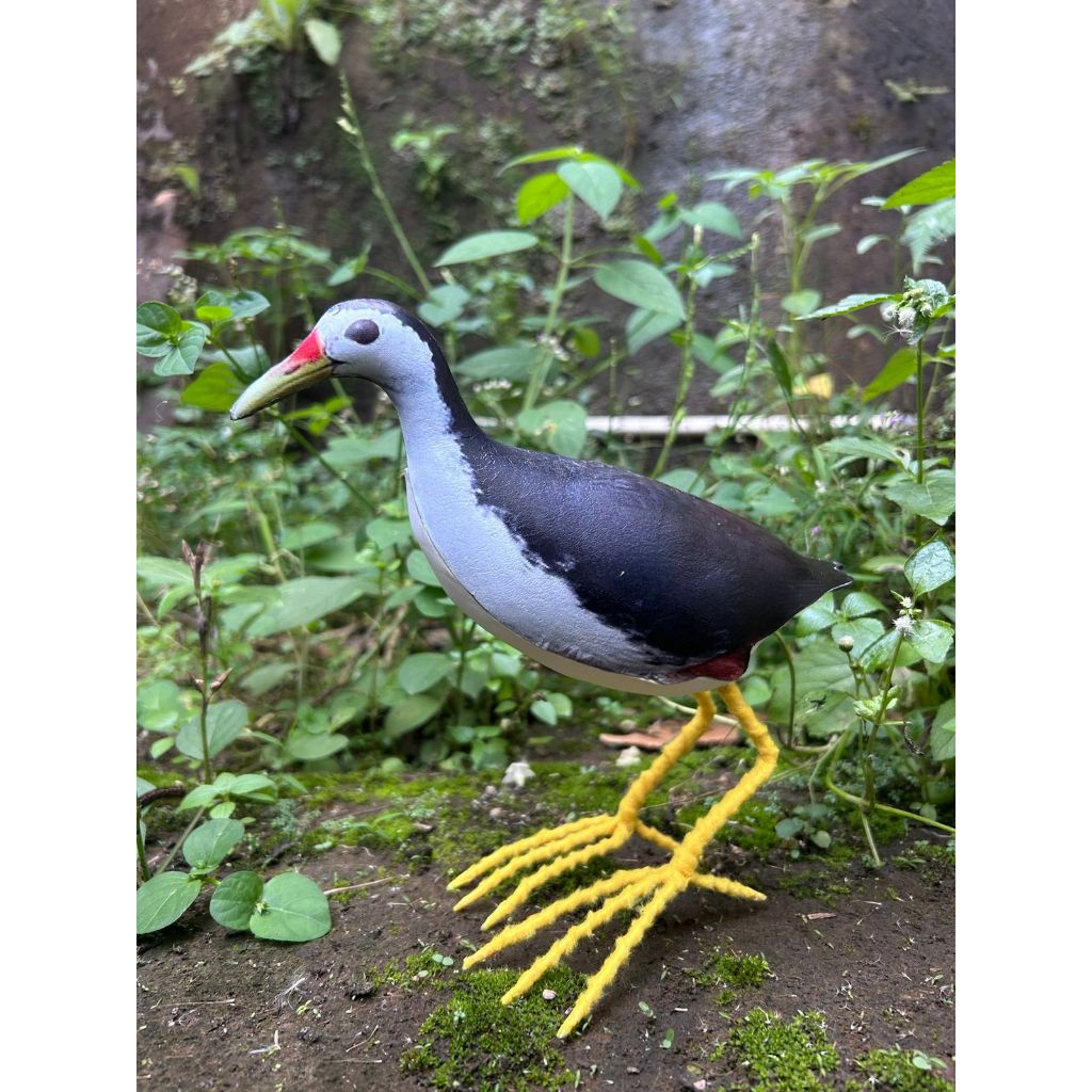 jontrot patung ruak ruak kareo