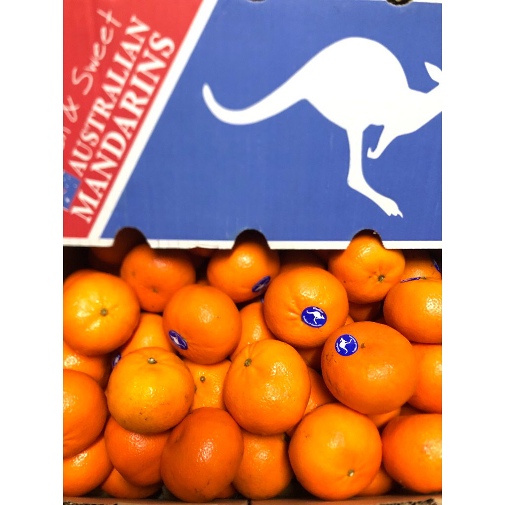 

Jeruk Royal Honey Murcott Aust Blooroo /kg