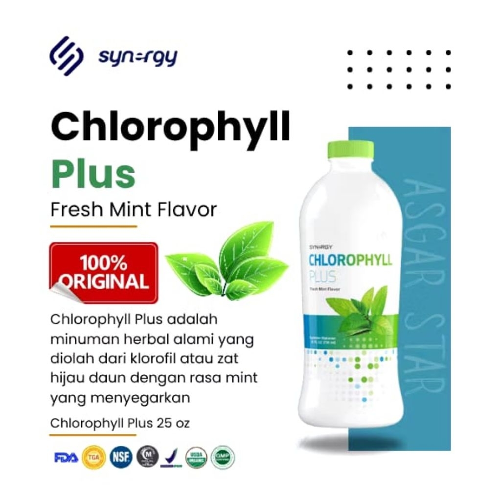CHLOROPHYLL PLUS SYNERGY