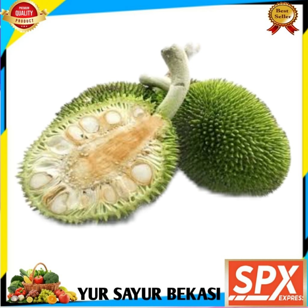 

Buah Timbul/Kluwih ( Per Biji).