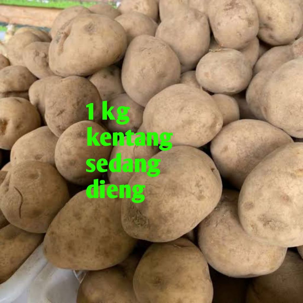 

1 kg kentang Dieng ukuran sedang standar kualitas terbaik dan murah