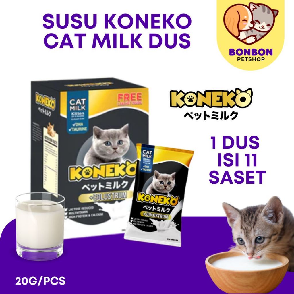 paket usaha makanan kucing