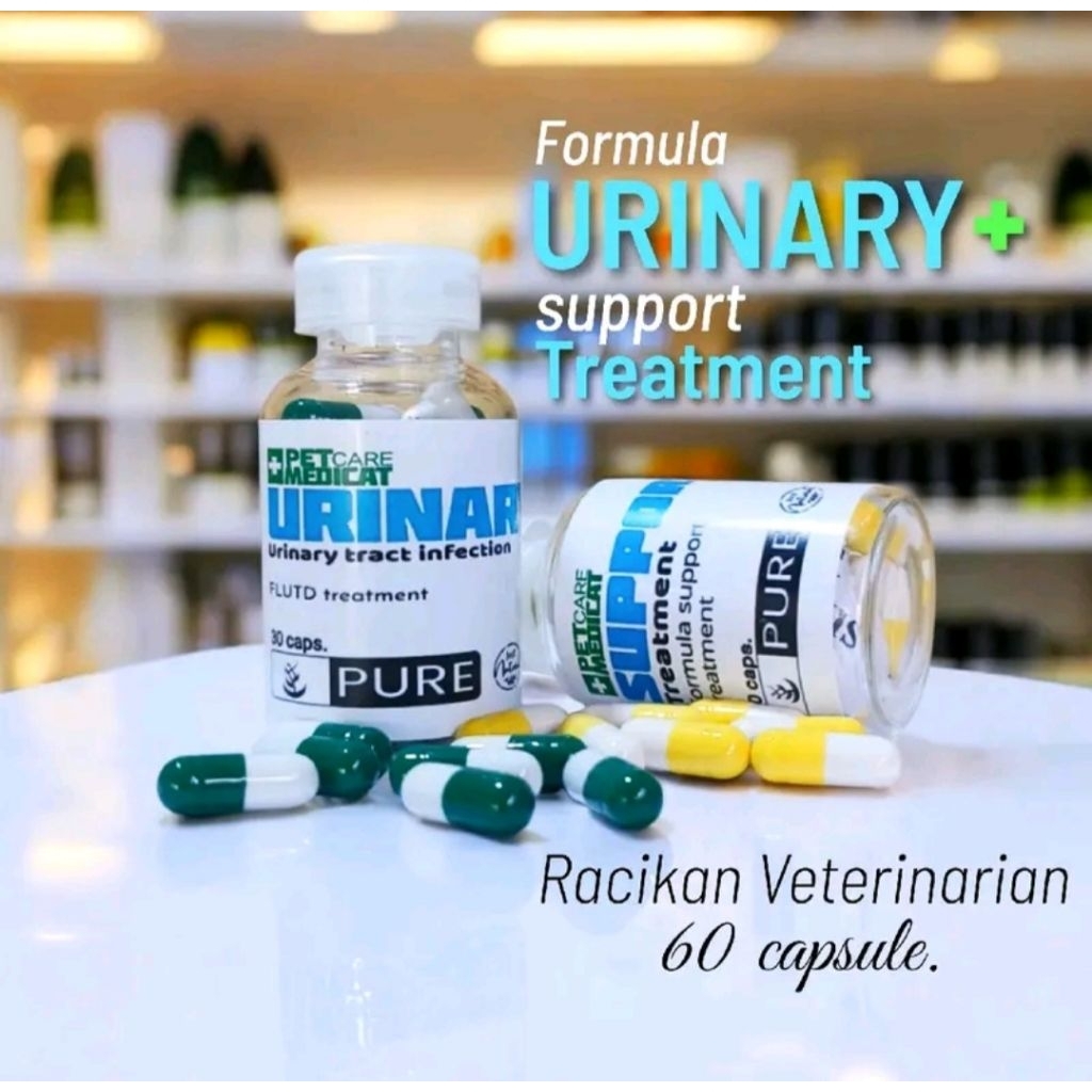 URINARY + SUPPORT TREATMENT Saluran Kencing Kucing  Urinary Kucing  FLUTD Kucing obat sakit kencing 