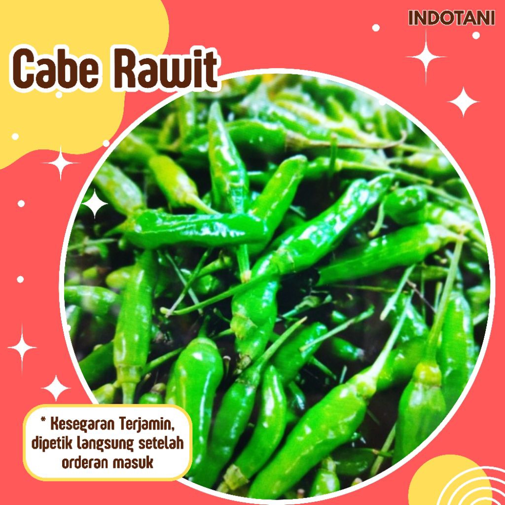 

INDOTANI_ Cabai Rawit Hijau Segar 250gr / Cabai Rawit Kualitas terbaik / Cabe Rawit segar