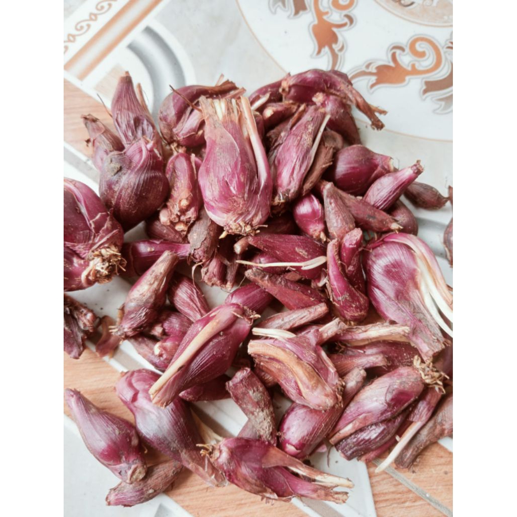

bawang Dayak segar per 1kg
