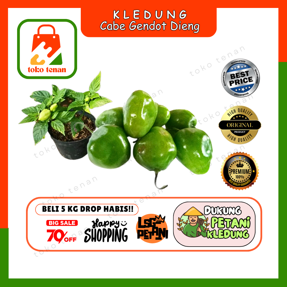 

Tokotenan // Cabe Gendot Cabe Dieng (Merah Hijau Mix) -- Sayur Gunung Grosir (H)