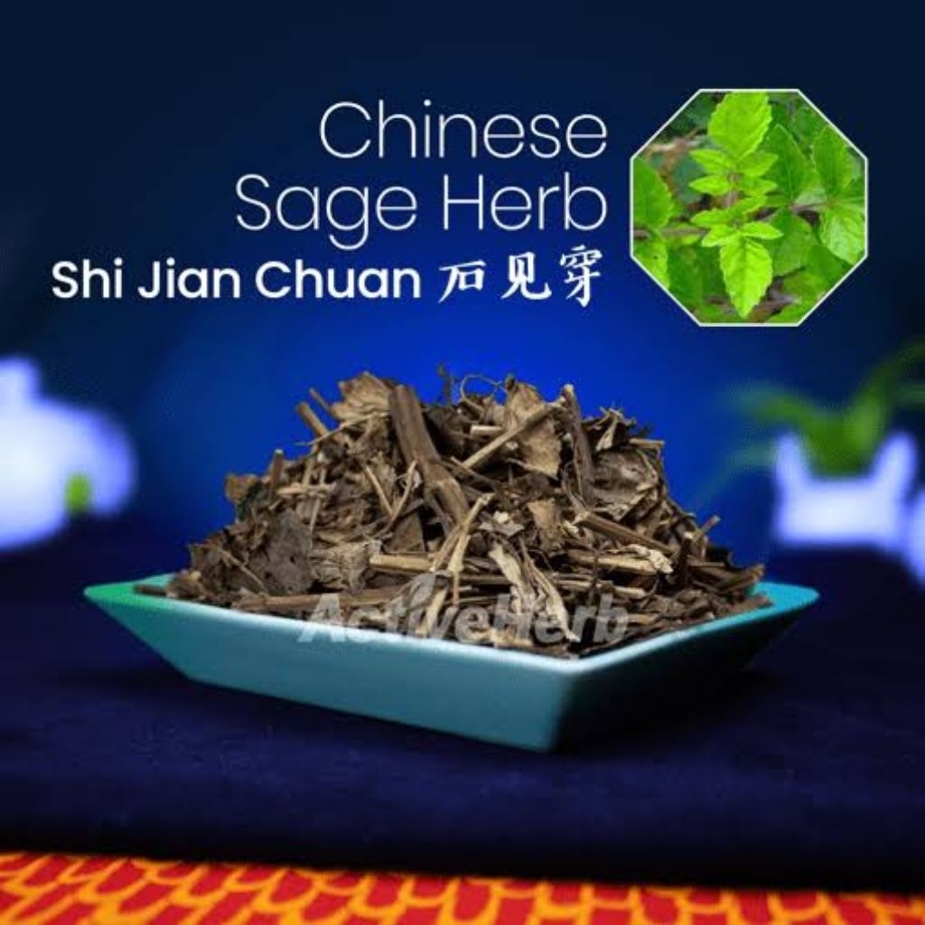 

100gr 石见穿 Shi Jian Chuan Herb Of Chinese Sage Chinese Sage Herb