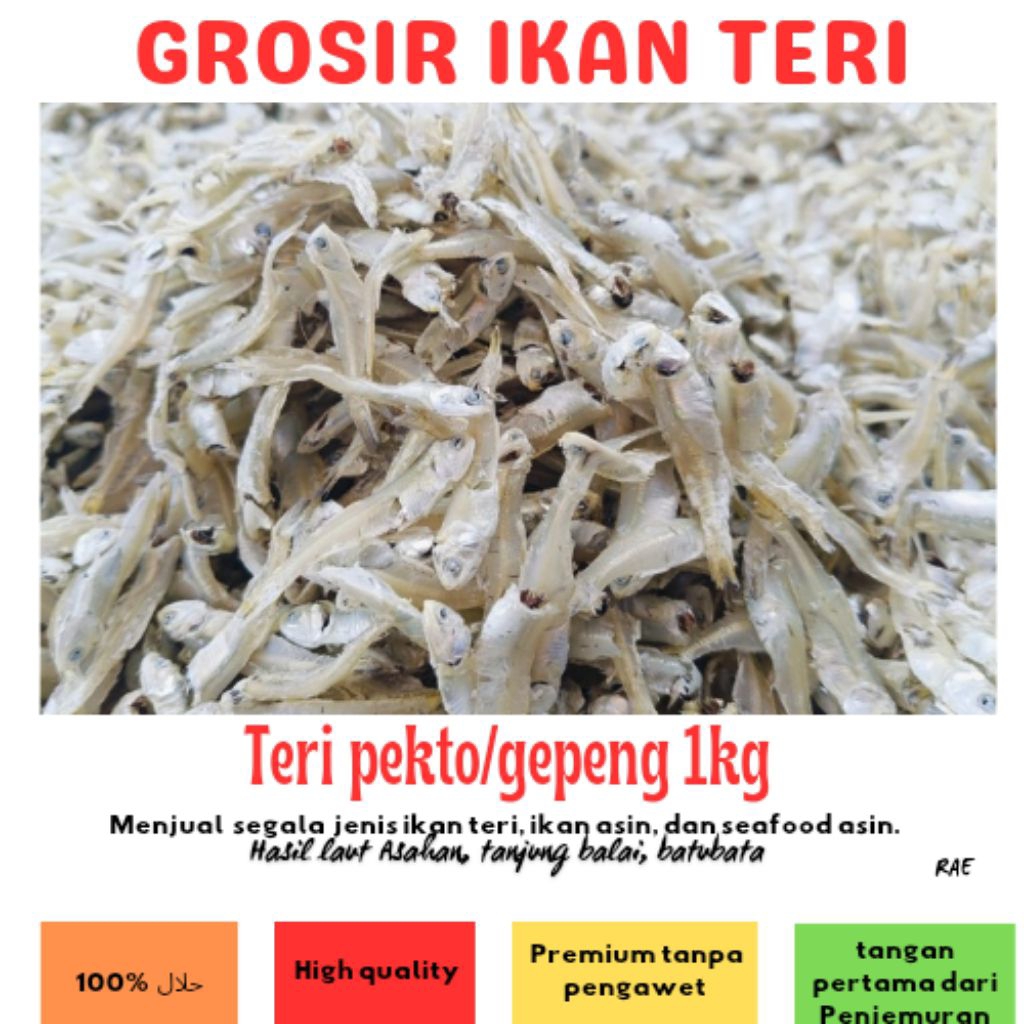 

ikan teri pekto/teri gepeng putih, bersih 1 kg