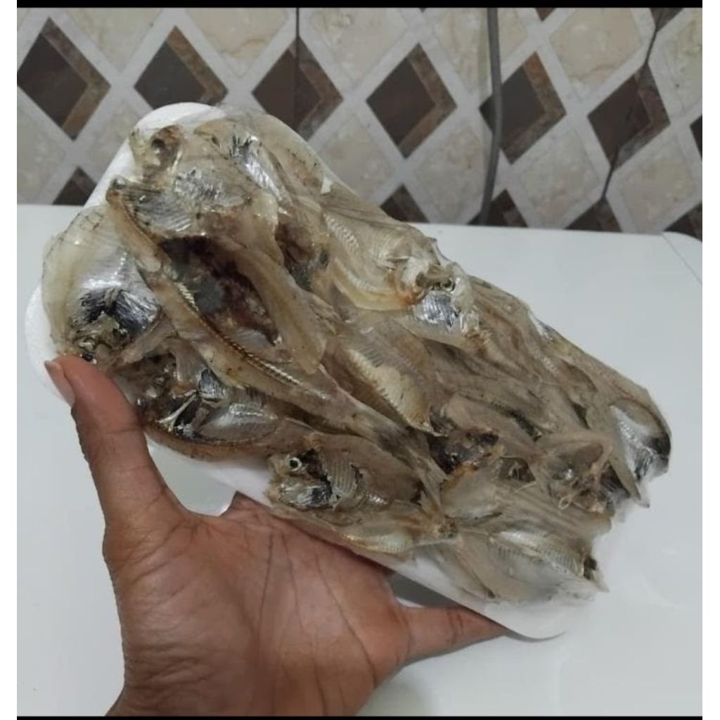 

Ikan Bulu Ayam Berat 1,5 Ons