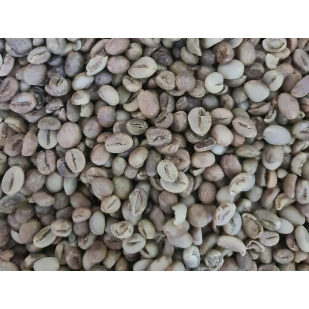 

GREEN BEAN ROBUSTA ASALAN JAWA BARAT Coffee Kopi Biji - 1Kg