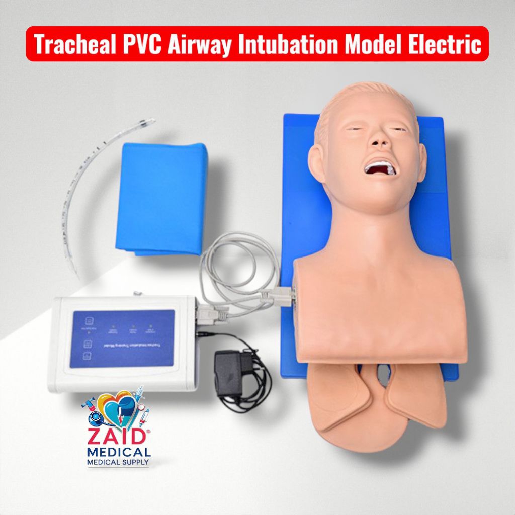 Tracheal PVC Airway Intubation Model Electric/ Phantom Intubasi Airway Dewasa Electric