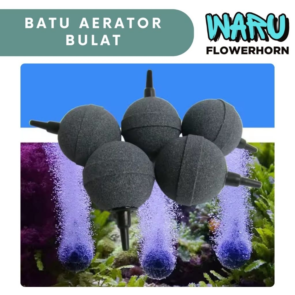 AIR STONE BOLA BAKSO BATU AERASI BULAT AIR STONE GELEMBUNG UDARA OKSIGEN AERATOR IKAN AQUARIUM
