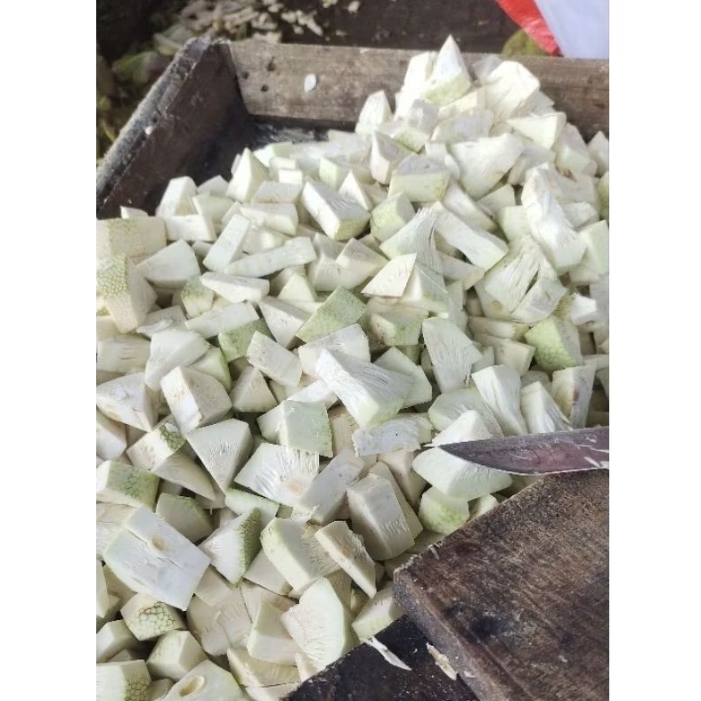 

Nangka Ptong Fresh 500 Gr