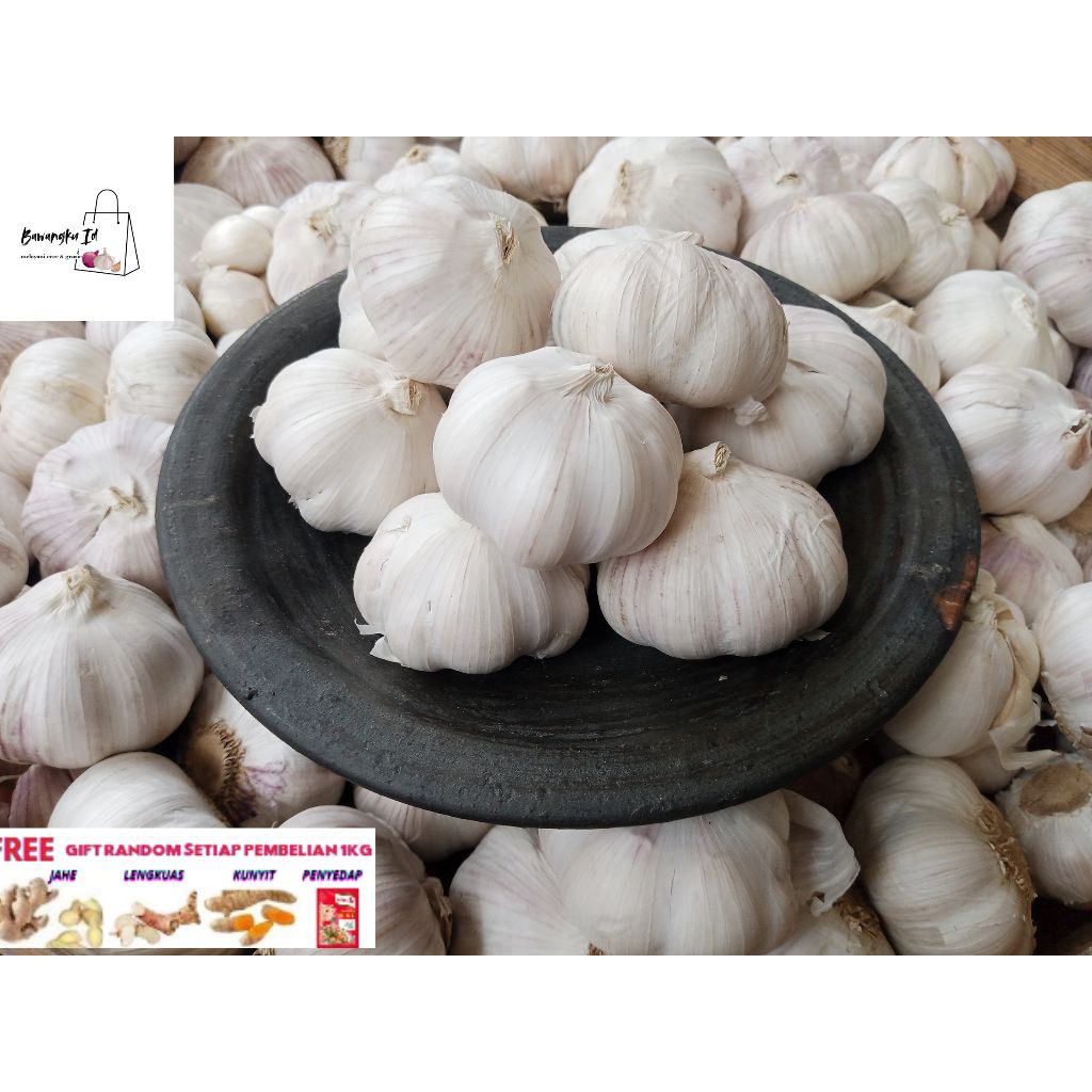 

bawang outih sinco 1kg 500gr
