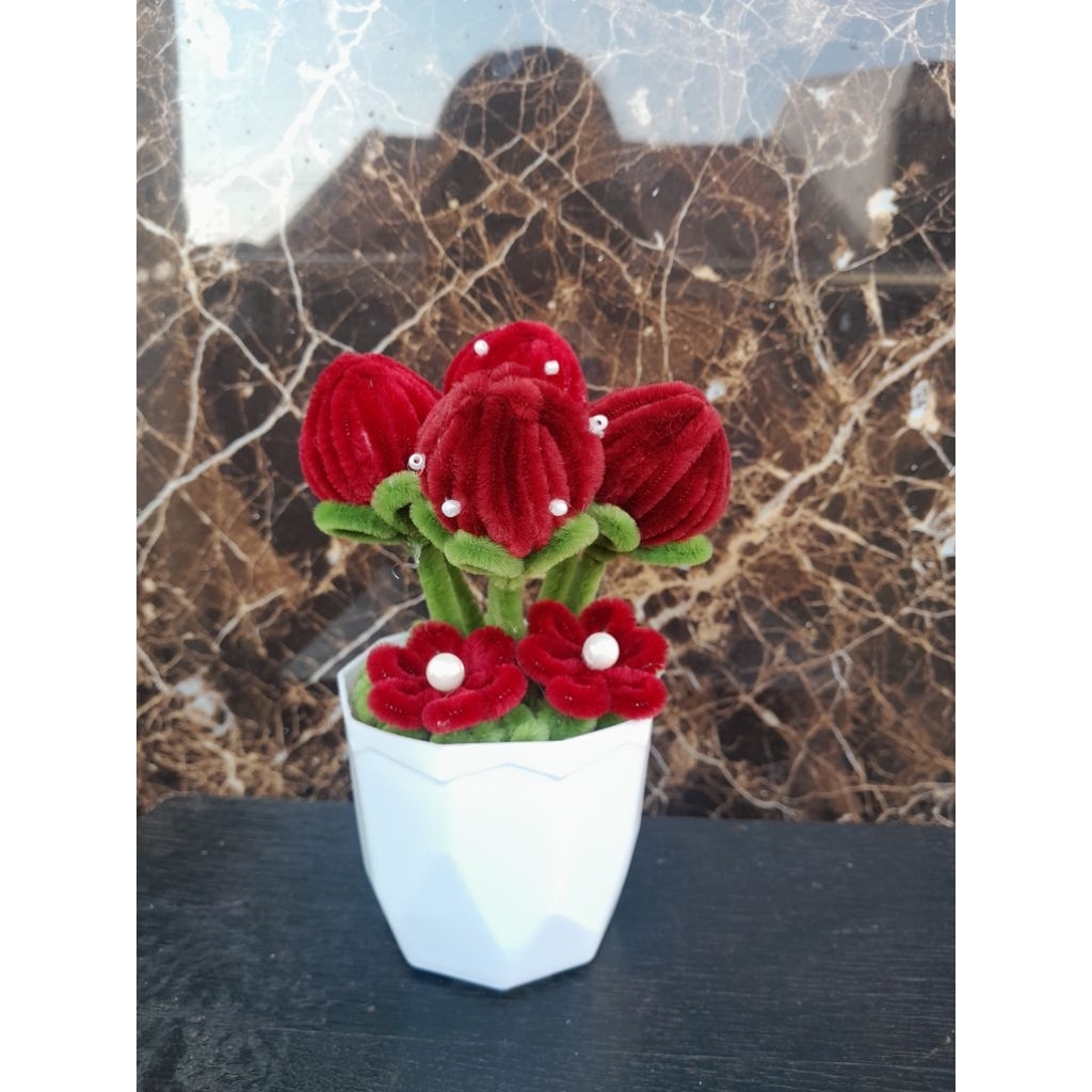 BUNGA POT MURAH SURABAYA