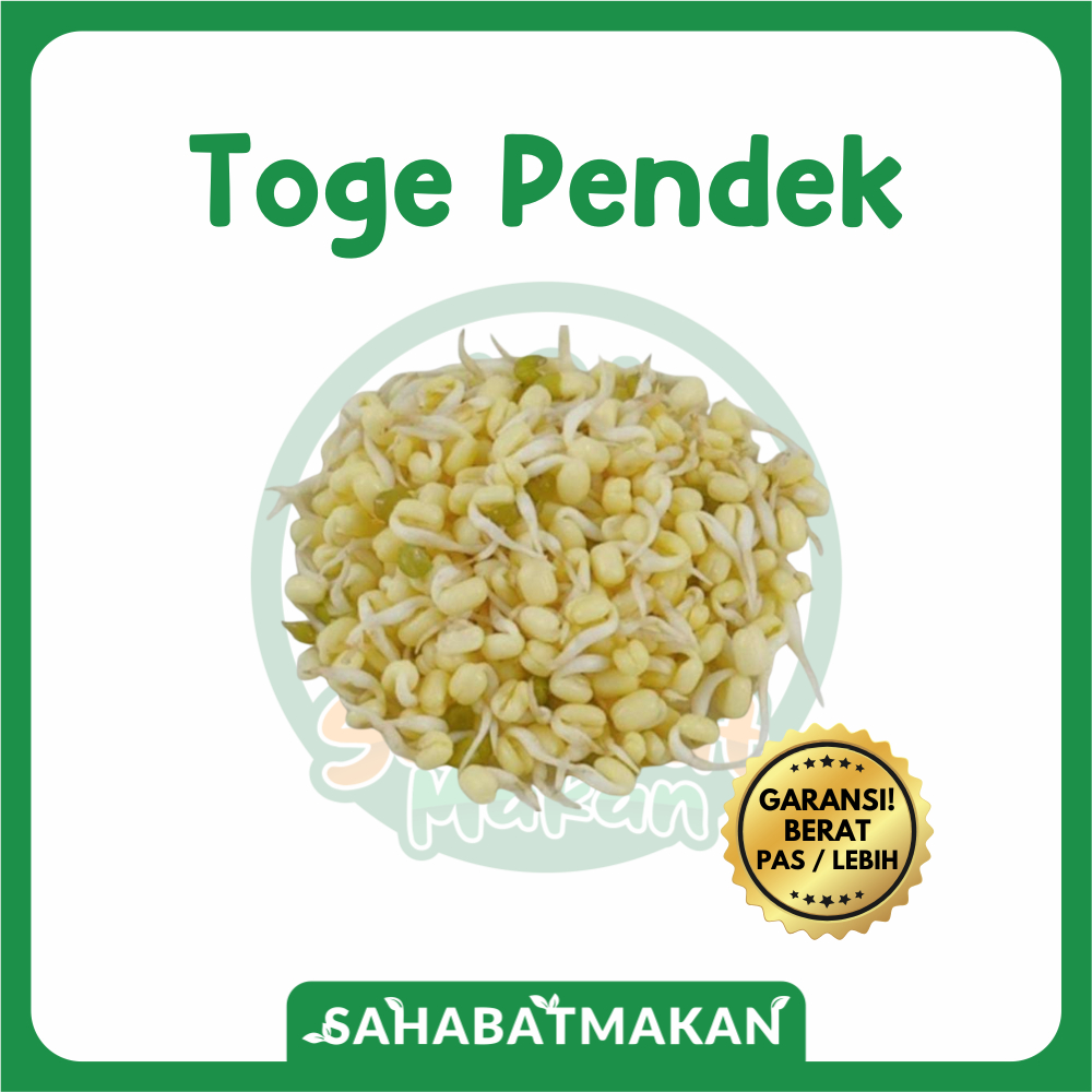 

Tauge/Toge Pendek — Sahabat Makan Sayur Jogja