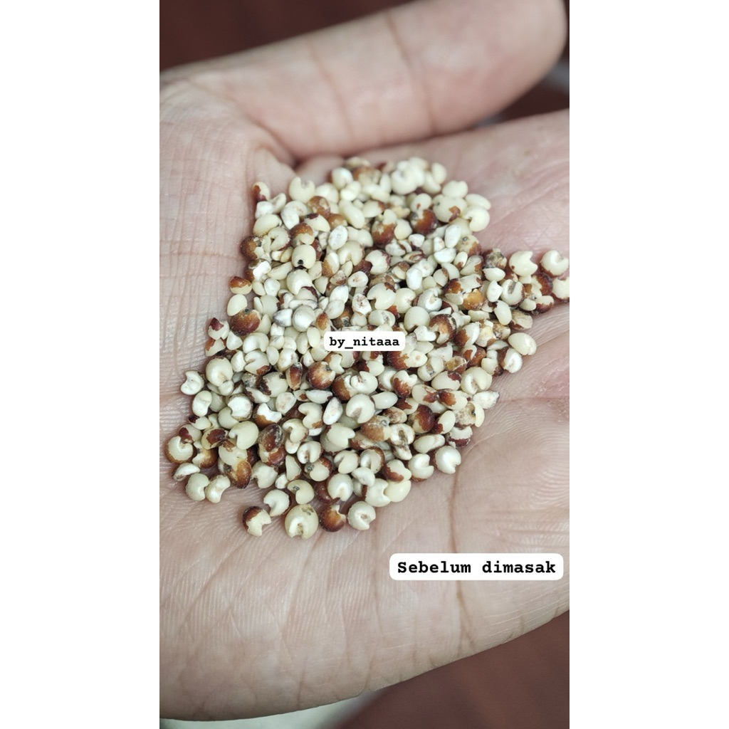 

Beras Sorgum Putih.. White Shorgum. Glutten Free