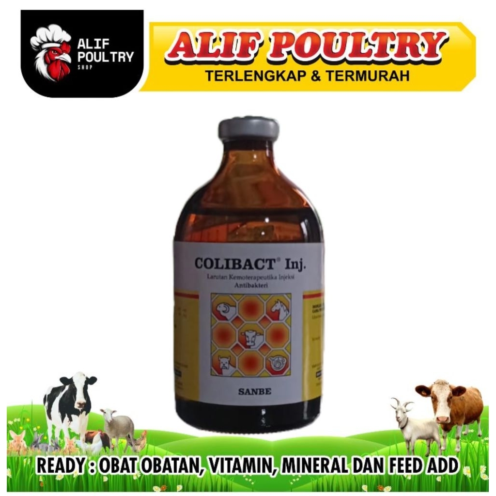 COLIBACT INJEKSI 100ML SANBE - obat antibiotik hewan ternak