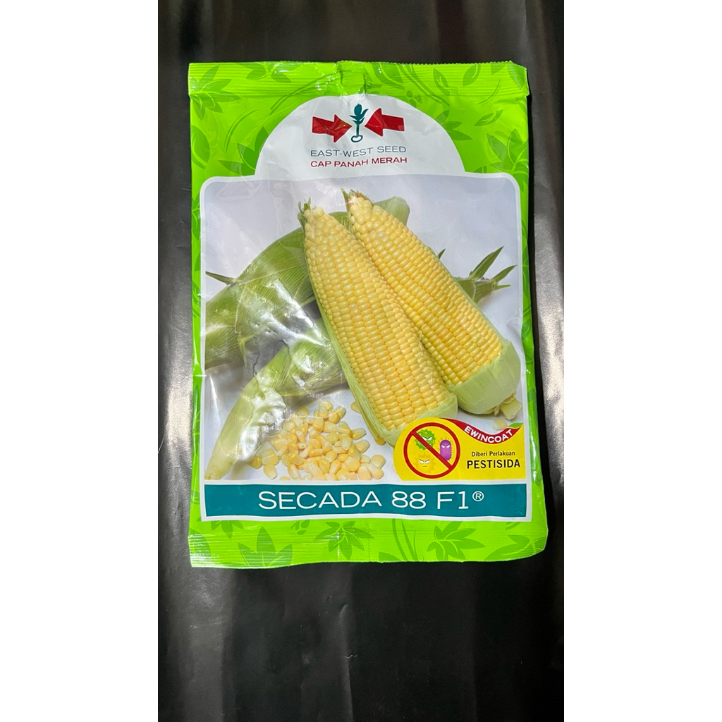 Benih Jagung Manis Secada 88 F1 1.750 butir