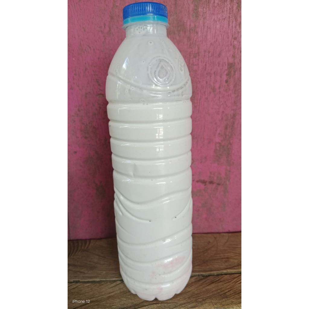 Lem Getah karet Cair Asli/Getah Karet Alam /Pulut Burung/Perekat isi 600mil/1Botol