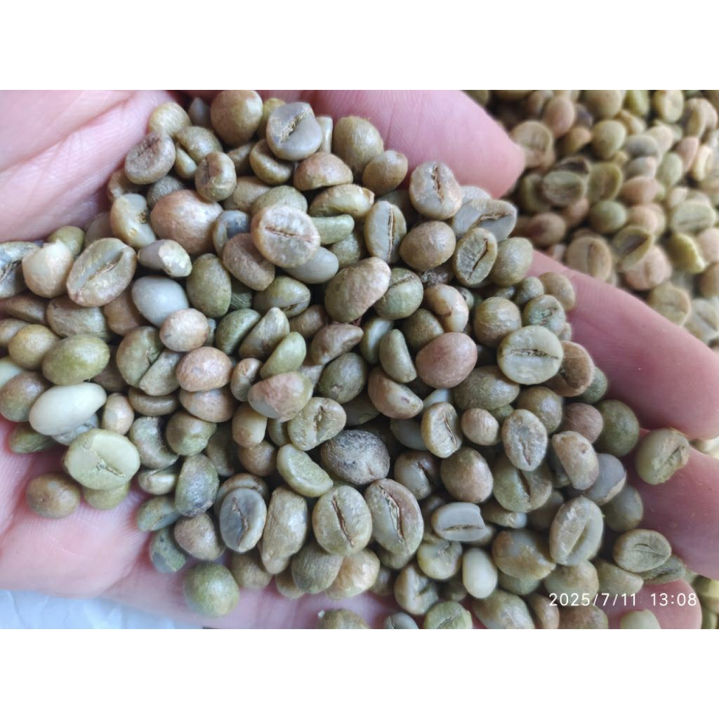 

Green Bean Robusta Temanggung 1 kg