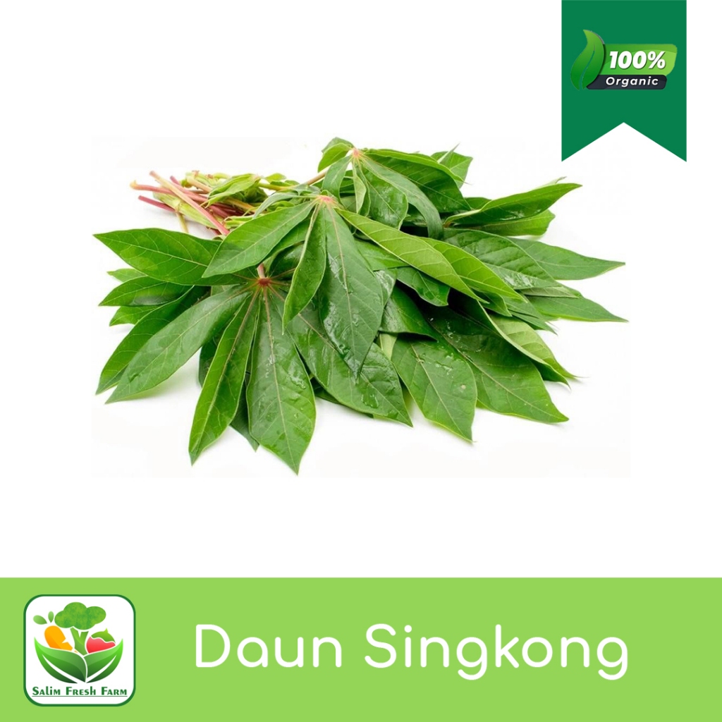 

Daun singkong per ikat / Daun singkong segar / Daun singkong sayur / Daun singkong 1 kg
